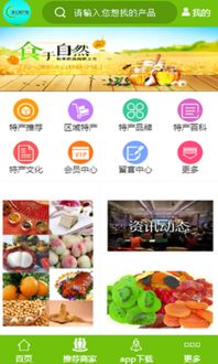 渠道转型 掌上特产网的互联网销售重构之路